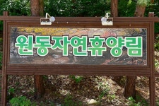 원동자연휴양림 고캠핑