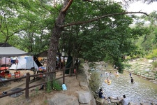 월악산국립공원 닷돈재자동차야영장 고캠핑