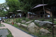 월악산국립공원 닷돈재자동차야영장 고캠핑