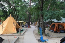 월악산국립공원 닷돈재자동차야영장 고캠핑