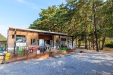 월악산억수솔밭캠핑장