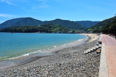 월포해수욕장야영장 고캠핑