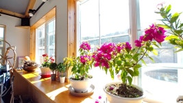 위크팜글램핑 고캠핑