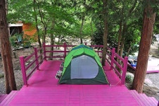 유치 자연휴양림 고캠핑