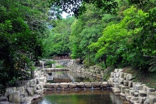 유치 자연휴양림 고캠핑