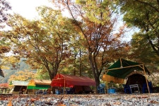 이지캠핑장 고캠핑