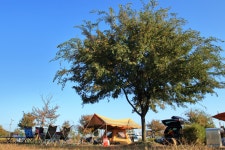 대신 오토 캠핑장