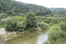 인제연가리오토캠핑장펜션