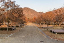 자라섬 캠핑장