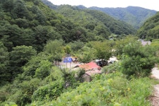 자작나무 펜션캠핑장