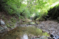 자작나무 펜션캠핑장