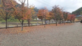 고성 장좌리 캠핑장