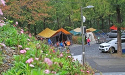 장태산 자연휴양림 고캠핑