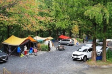 장태산 자연휴양림 고캠핑