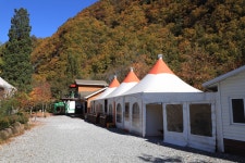 정선애 펜션 캠핑장