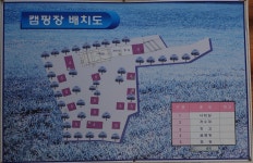 정선애 펜션 캠핑장 고캠핑