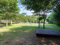 졸드루오토캠핑장 고캠핑