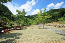 좌구산오토캠핑장 고캠핑