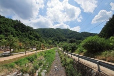 좌구산오토캠핑장