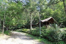 태백고원자연휴양림 야영장 고캠핑