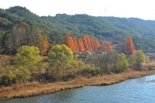 주암 오토캠핑장