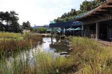 중랑가족캠핑장