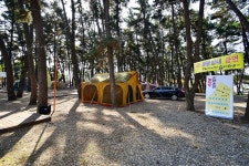 춘장대 중앙솔밭캠핑 고캠핑