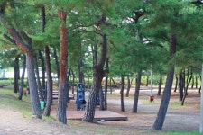 지경국민여가캠핑장