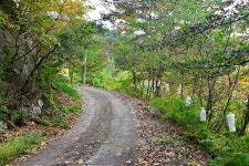 지리산오도재 힐링 캠핑장 고캠핑
