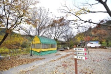 지지벨리 유명산 오토캠핑장 고캠핑