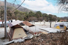 진밭골향기관광농원 야영장 고캠핑