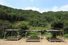 고향펜션캠핑 고캠핑