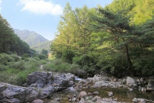 고향펜션캠핑 고캠핑