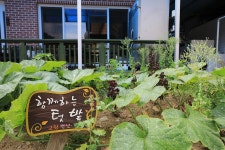 고향펜션캠핑 고캠핑