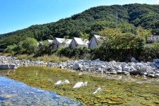 더세븐글램핑카라반(주)