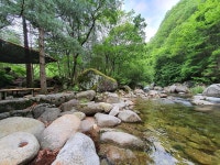 단양 천동계곡 캠핑장 그린농원