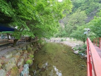 단양 천동계곡 캠핑장 그린농원