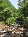 단양 천동계곡 캠핑장 그린농원 고캠핑