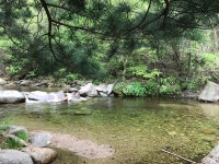 단양 천동계곡 캠핑장 그린농원