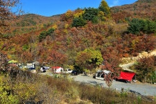 천문대 별빛정원 고캠핑