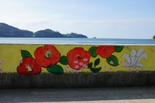 천하마을야영장