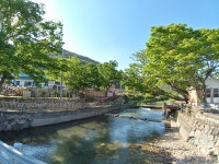 천하마을야영장