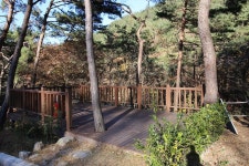 청계동 솔바람야영장