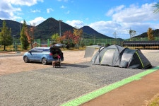 청광새들녘캠핑