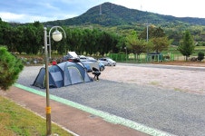 청광새들녘캠핑