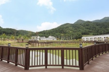 청도신화랑 풍류마을 오토캠핑장