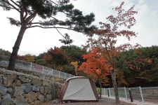 80 SS 오토캠핑장 고캠핑