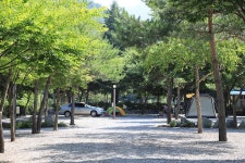 청산 캠프 고캠핑