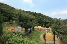 청산관광농원(트리독스)