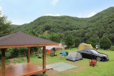 트리독스 애견전용캠핑장 고캠핑